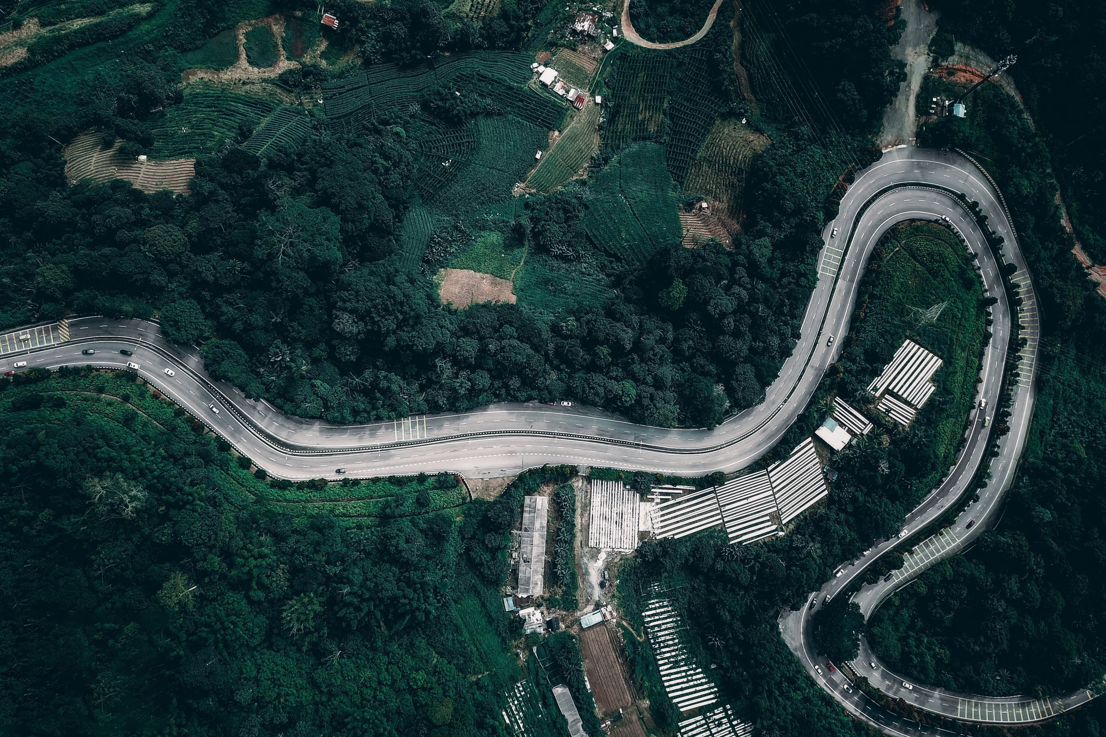 Cool Climate Escapes: Cameron Highlands & Genting Like Never Before
