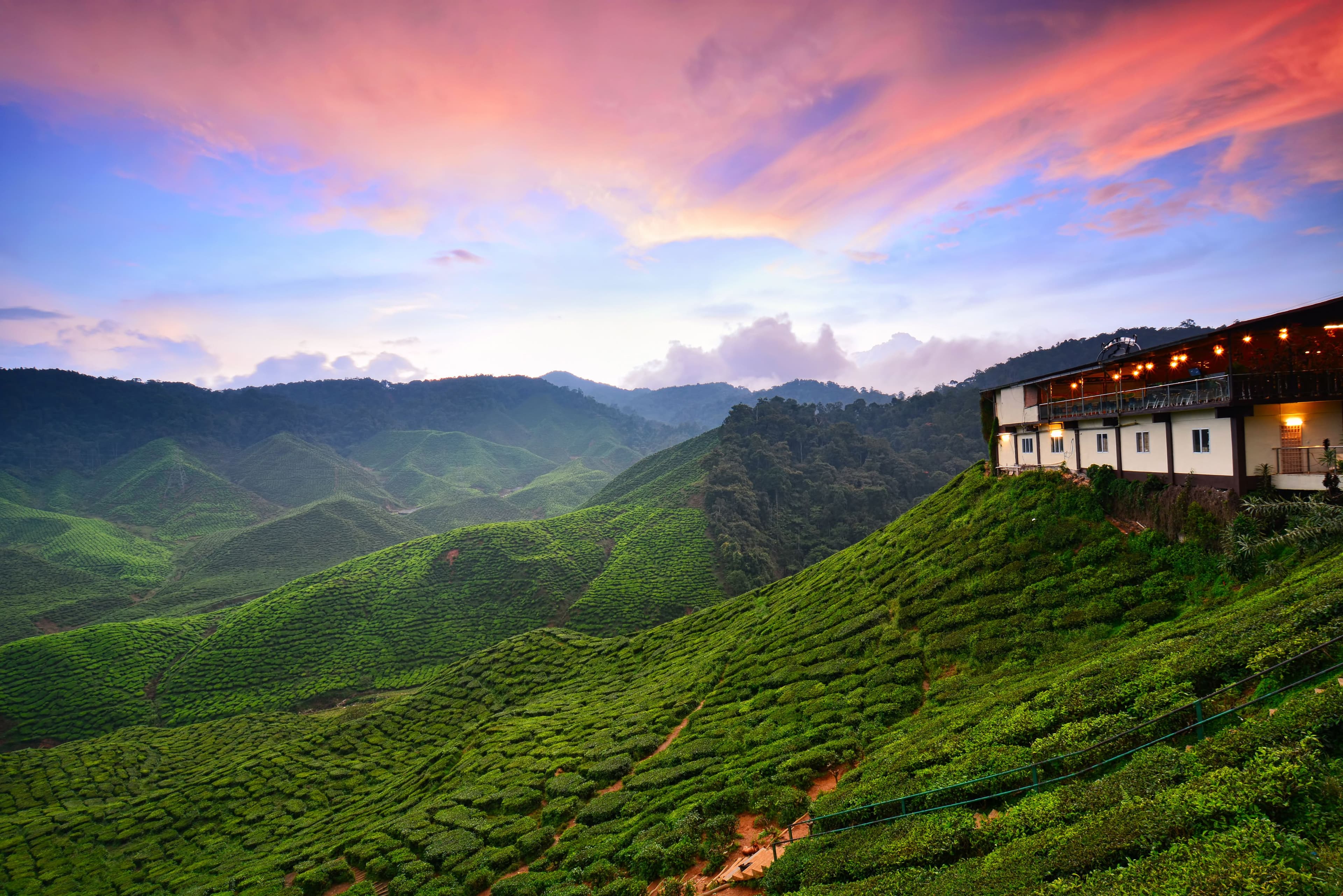 Malaysia Honeymoon Packages: A Romantic Escape to Tropical Bliss